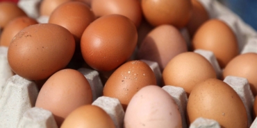 Yumurta İhracatında Destekleme Muafiyeti Sağlandı!