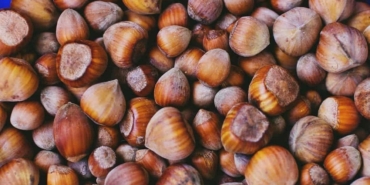 Fındık İhalesi: 150 TL/Kg ile Başlıyor!