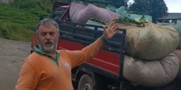 Çay Üreticileri Yok Fiyatına Çalışıyor!