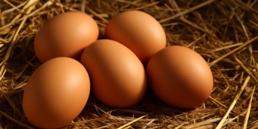 Tavuk Eti Üretimi Rekor Kırdı, Yumurta Düştü!