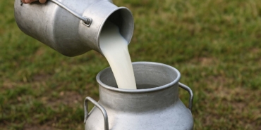 Nisan’da Süt Üretiminde Yüzde 1,6 Artış!