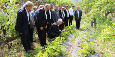 Kuraklık Alarmı: Türkiye Su Fakiri Olma Yolunda!