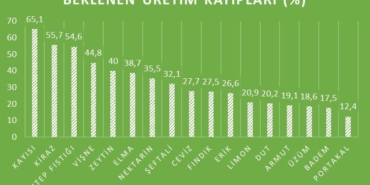Tarımda Üretim Kaybı: Meyve Fiyatları Yükselecek!